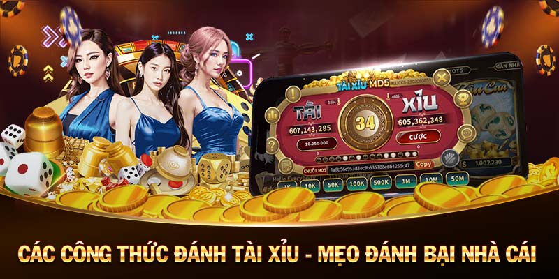 TTBĐ-Trải nghiệm đỉnh cao với casino trực tuyến!